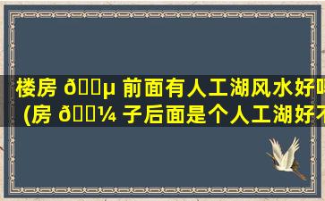 楼房 🐵 前面有人工湖风水好吗(房 🌼 子后面是个人工湖好不好)
